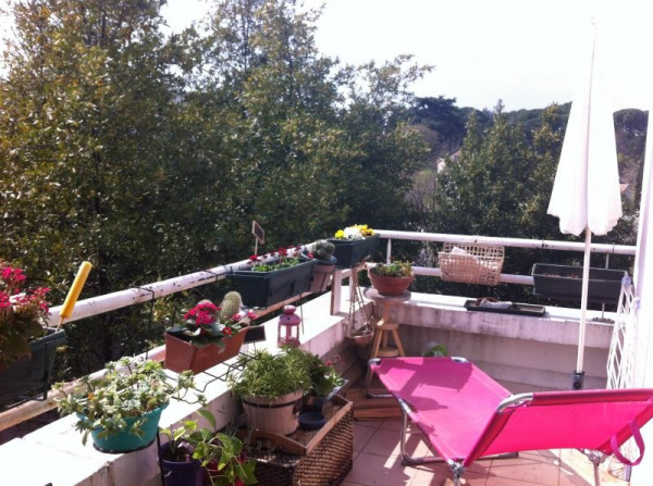 Offres de location Appartement Montpellier 34000