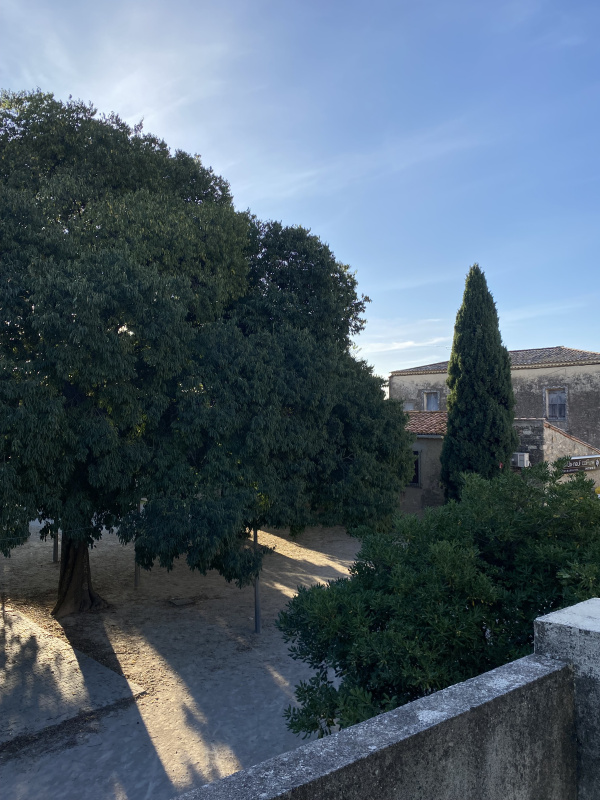 Offres de location Maison de village Assas 34820