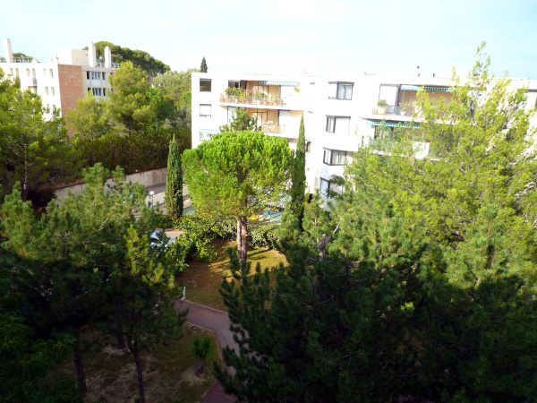 Offres de location Appartement Montpellier 34000